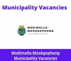 x4 Openings of Modimolle-Mookgophong Municipality Vacancies 2024, Get for Government Jobs with 5 Years relevant experience years