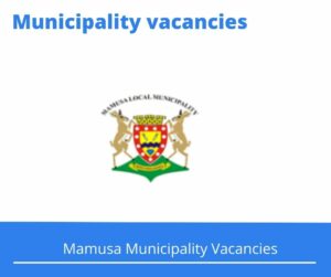 x1 Openings of Mamusa Municipality Vacancies 2024, Get for Government Jobs with Good writing skills