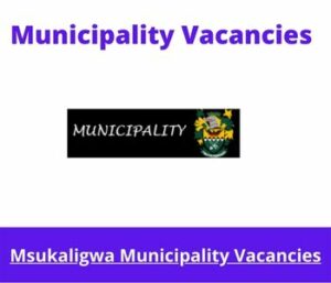 x1 Openings of Msukaligwa Municipality Vacancies 2024, Get for Government Jobs with Communication Skills