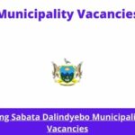 x1 Openings of King Sabata DalindyeboMunicipality Vacancies 2024, Get for Government Jobs with Communication Skills