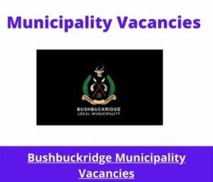 x1 Openings of Bushbuckridge Municipality Vacancies 2024, Get for Government Jobs with Communication Skills