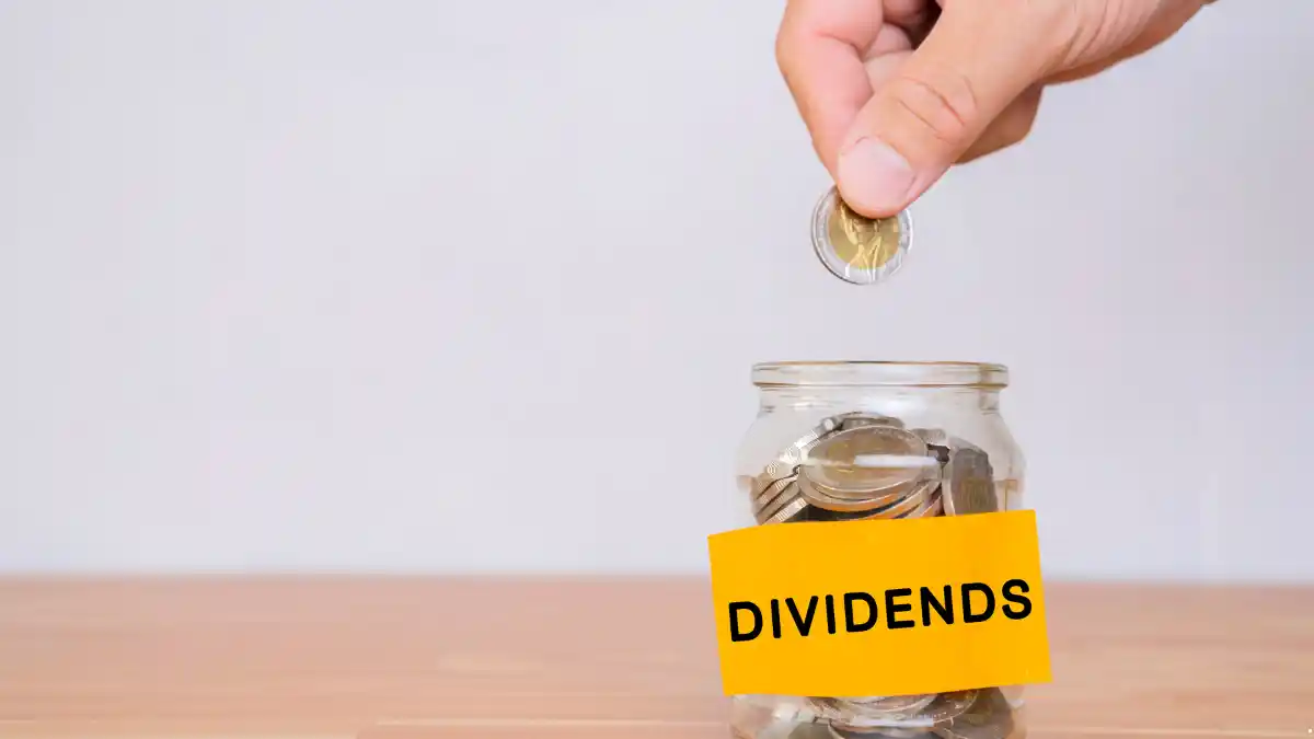 Non Dividend Paying ETFs A Complete Guide